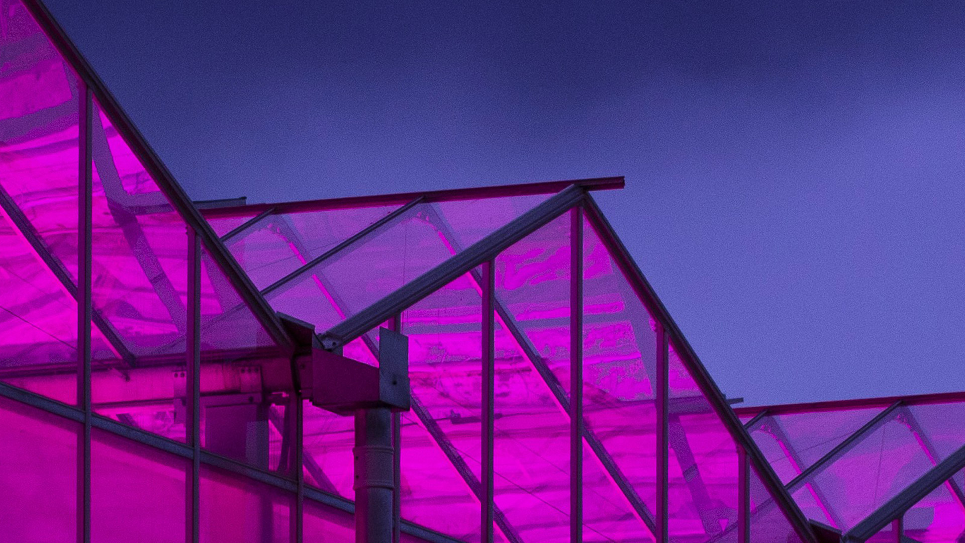 Canna Cribs Podcast Episode 5