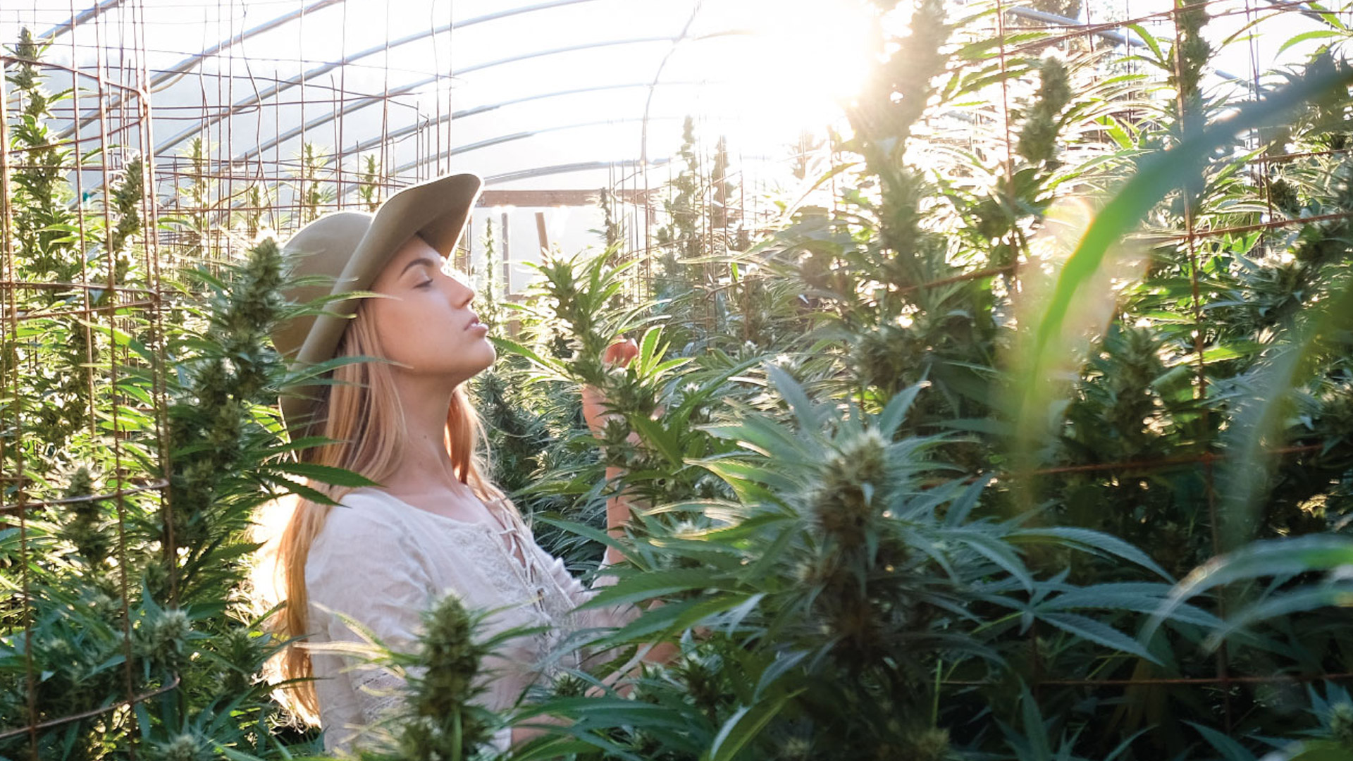 Canna Cribs Podcast Episode 2