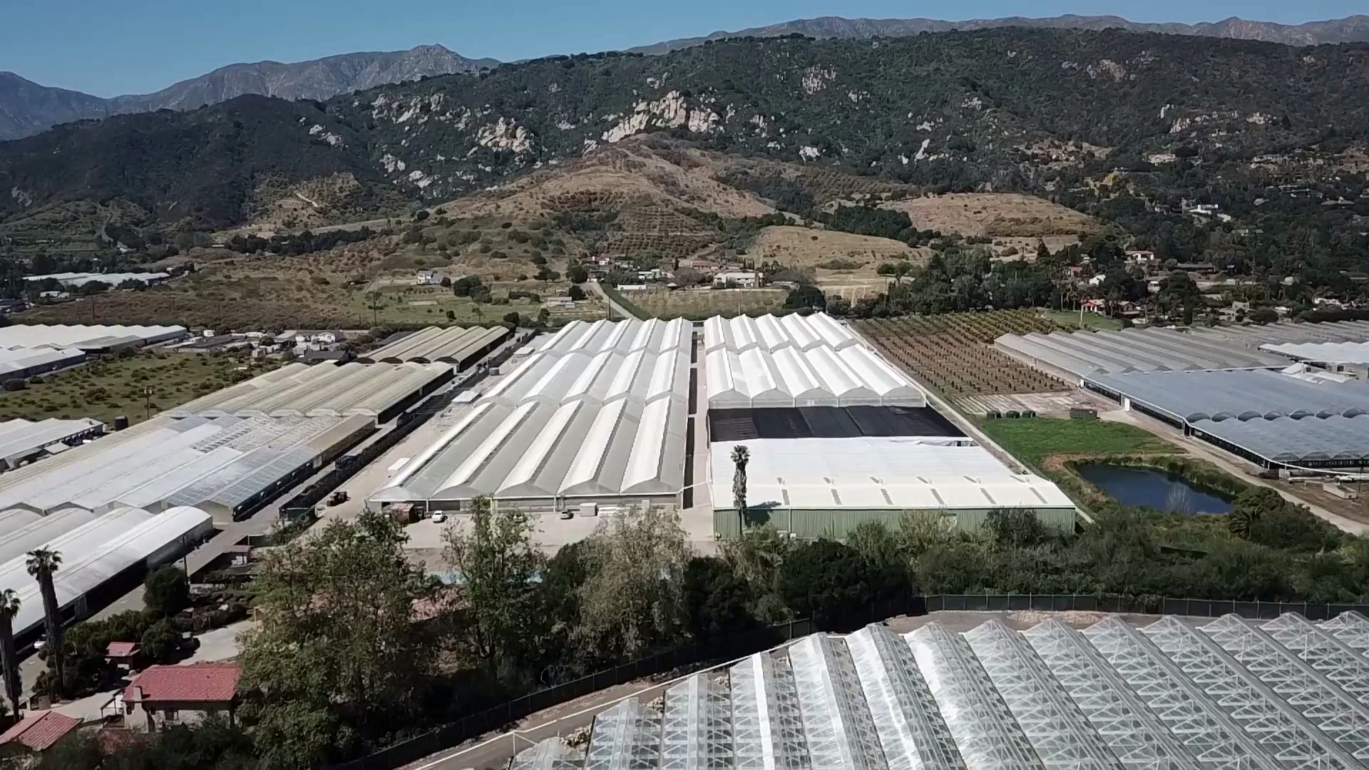 Canna Cribs Podcast Episode 10