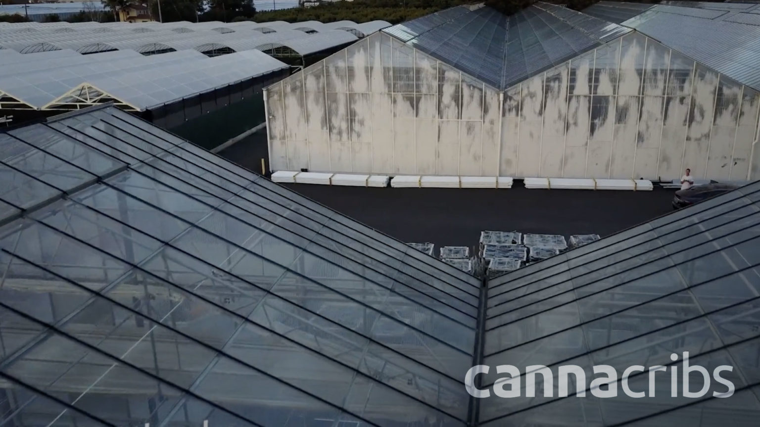 GlassHouse Farms Season 1, Ep. 1