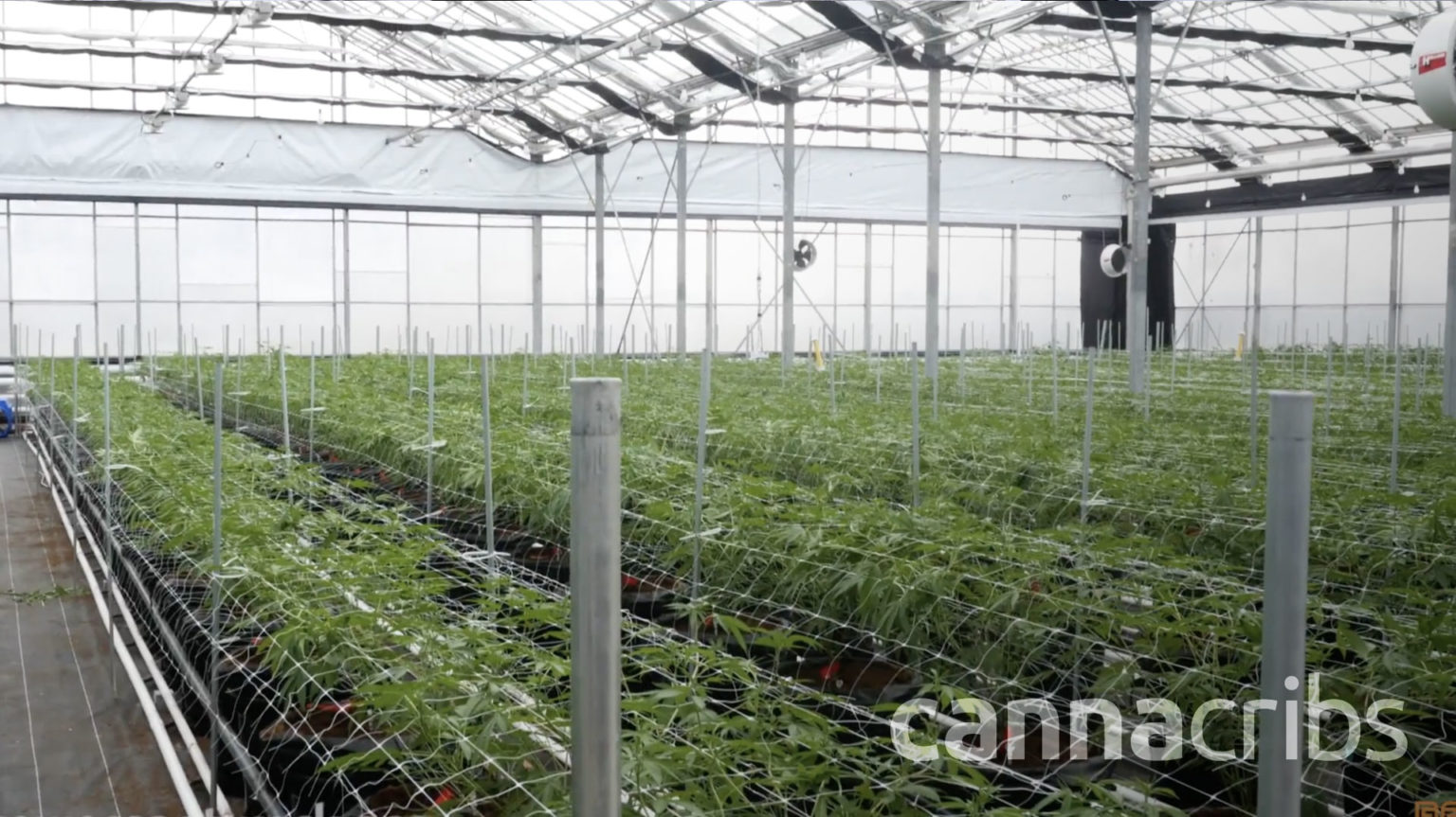 GlassHouse Farms Season 1, Ep. 1