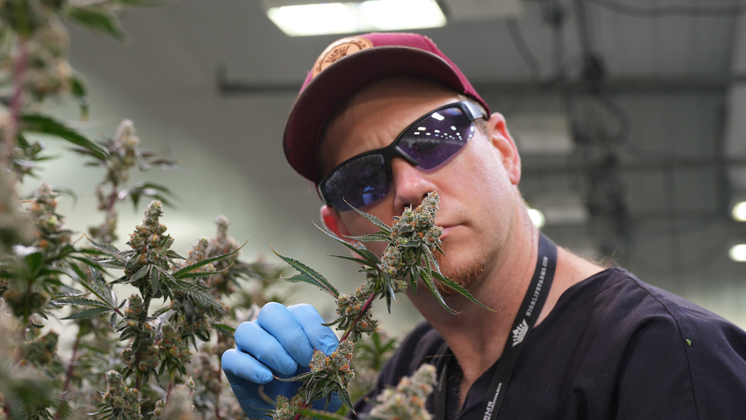 High Life Farms Season 2, Ep. 10