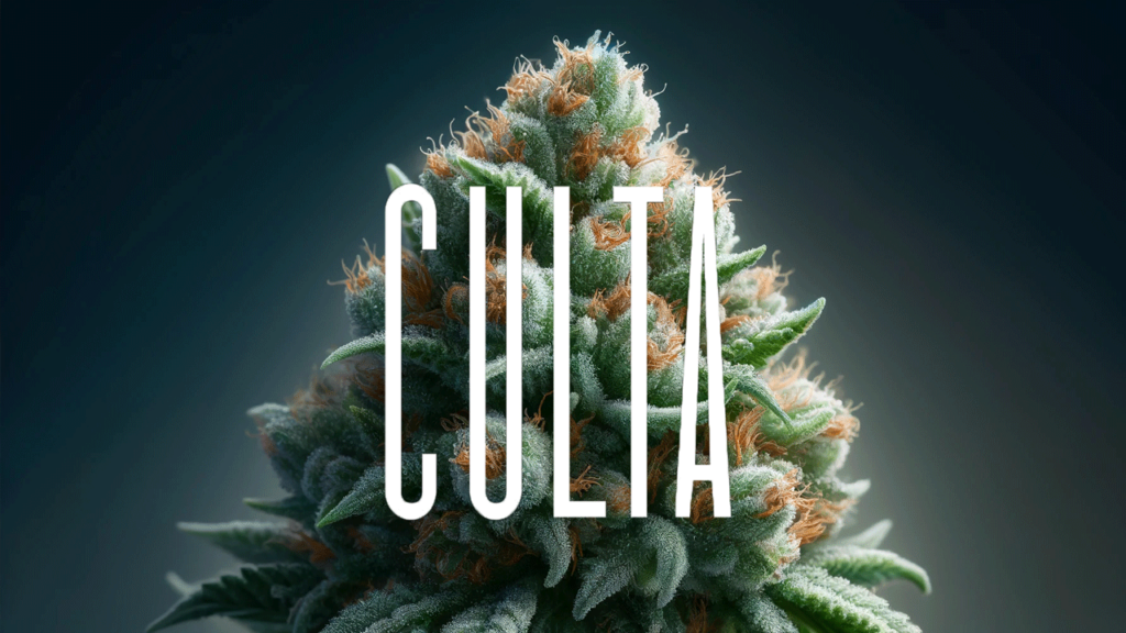 culta