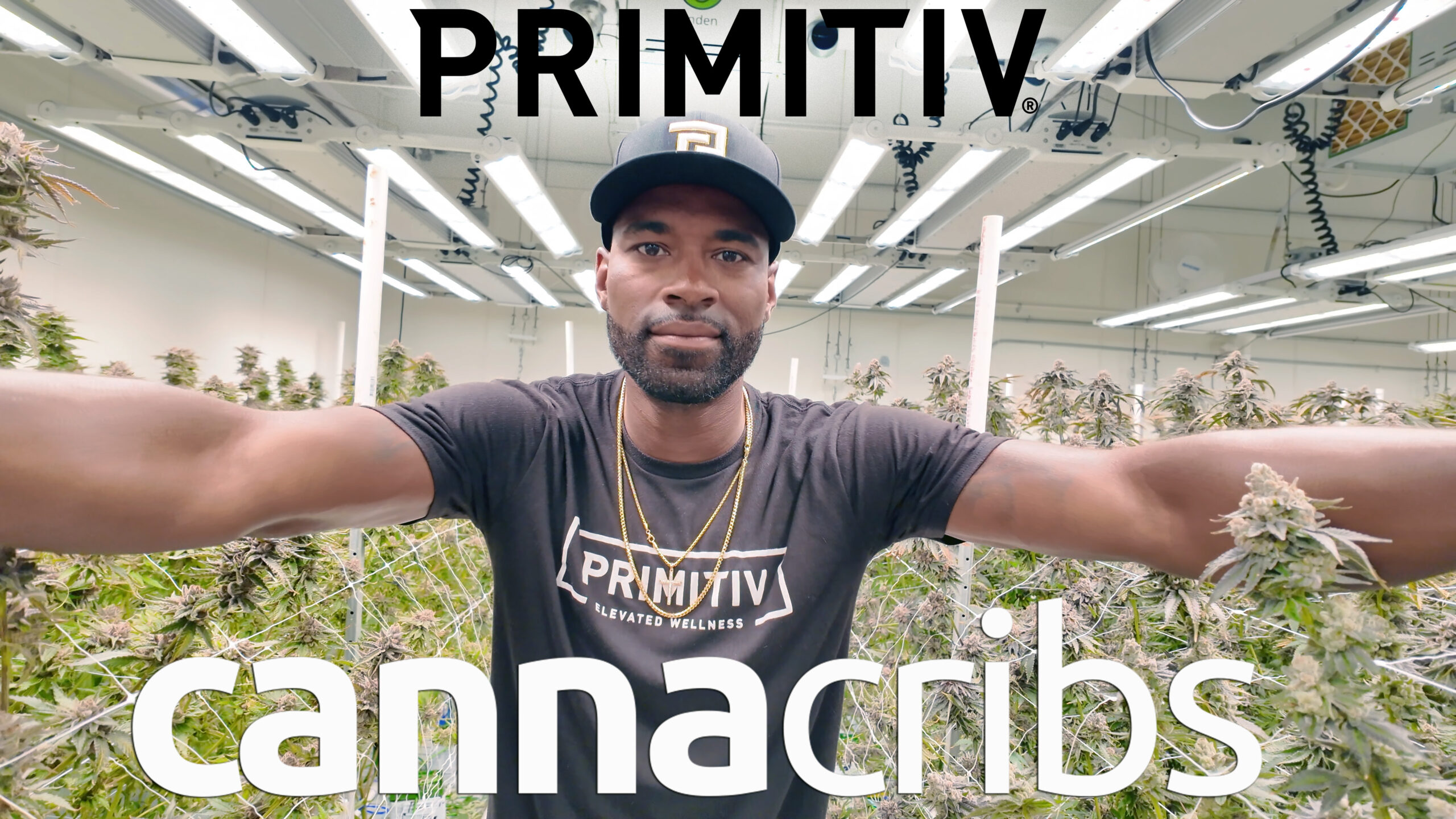 Primitiv Cannacribs