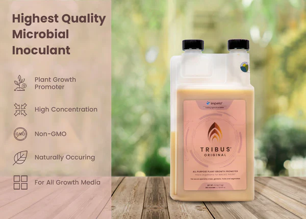 Impello Tribus Highlights