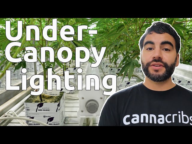 Under-Canopy Lighting YouTube Thumbnail