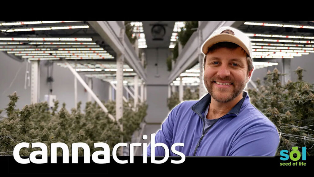 seeds of life episode