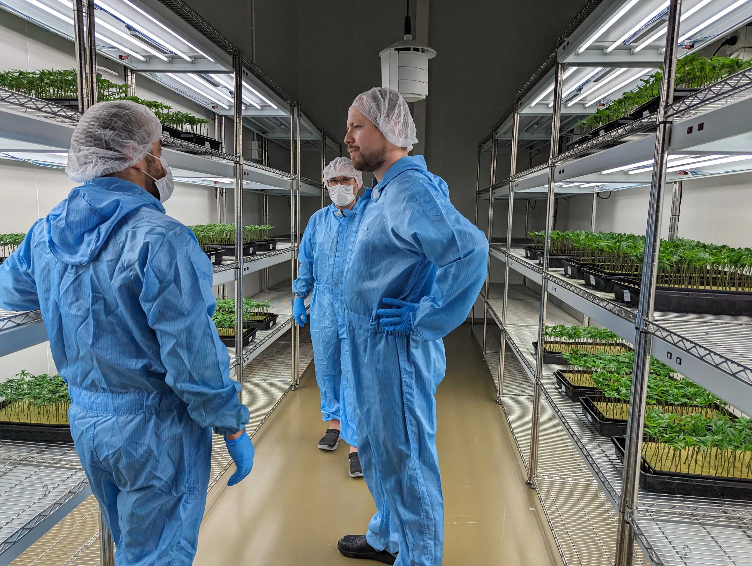 Cannabis Consultants Vertical Grow Propagation Room