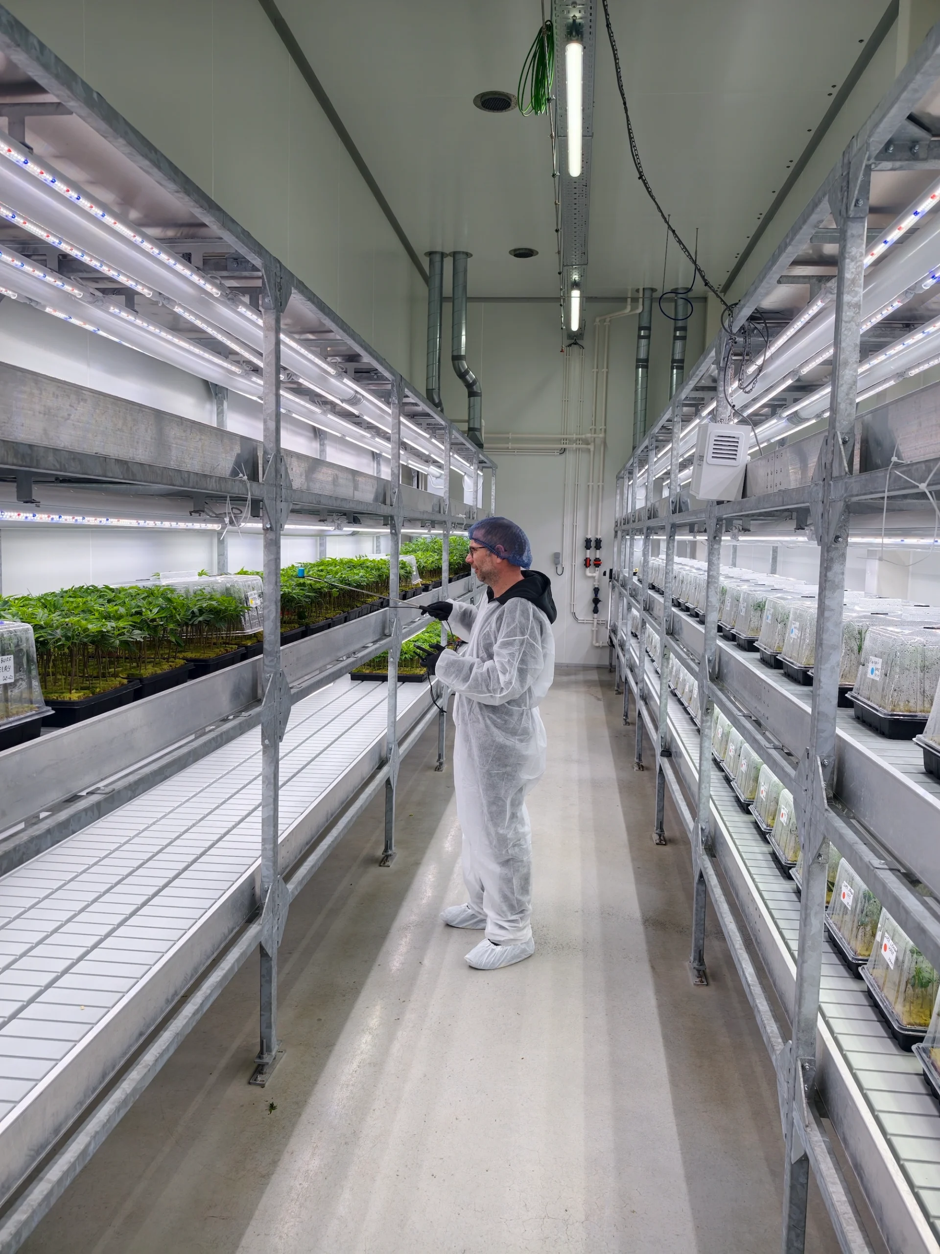 Cannabis Consulting on Vertical Propagation Systems